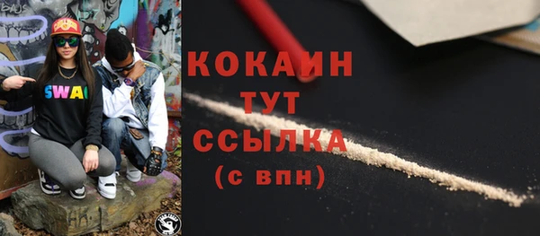 PSILOCYBIN Богданович