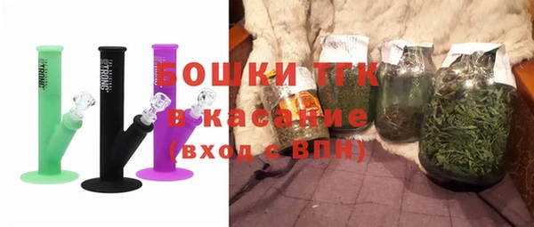 гидра Бородино