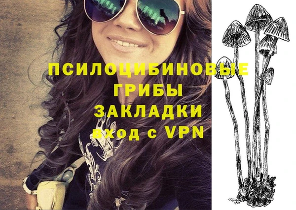 трава Бронницы
