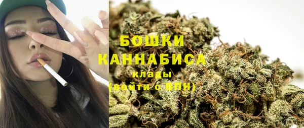 PSILOCYBIN Богданович
