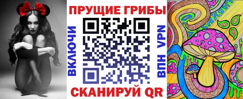 гидра как зайти  закладка  Среднеуральск  Псилоцибиновые грибы GOLDEN TEACHER 