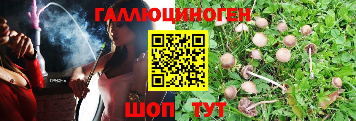 Псилоцибиновые грибы мухоморы Среднеуральск